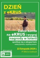 2024 11 19 ekrus 1
